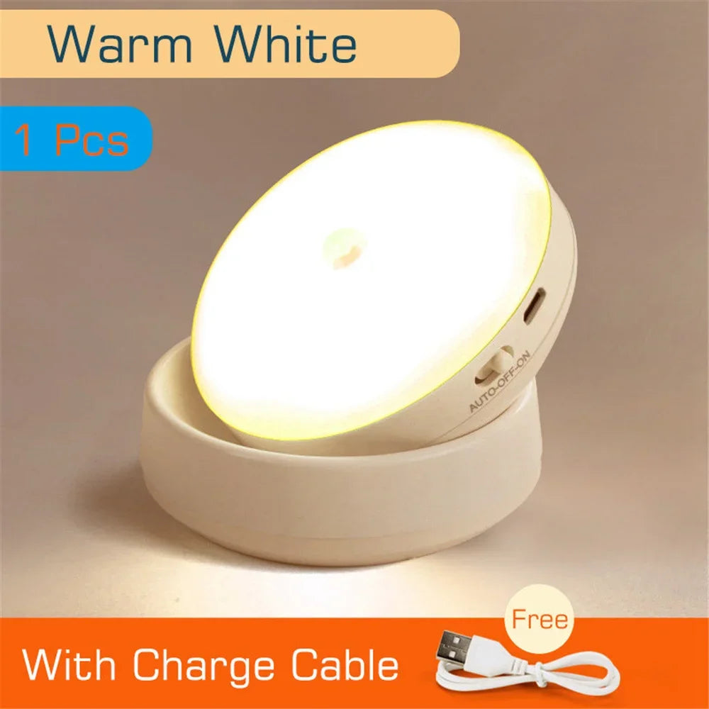 Intelligent Human Induction Night Light