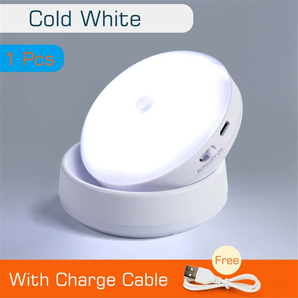Intelligent Human Induction Night Light