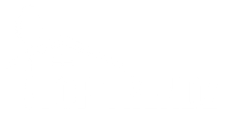 Top Trendz